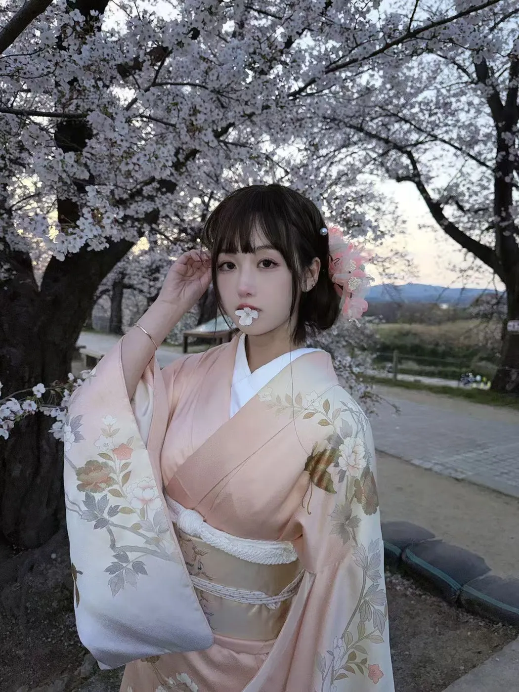 訪問着・留袖