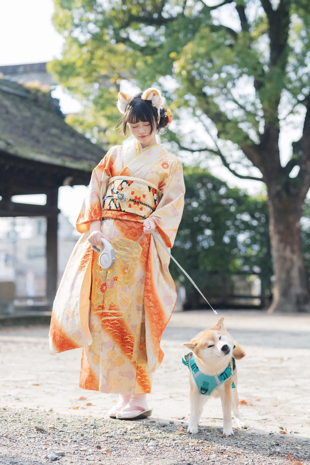 振袖姿で柴犬と散歩