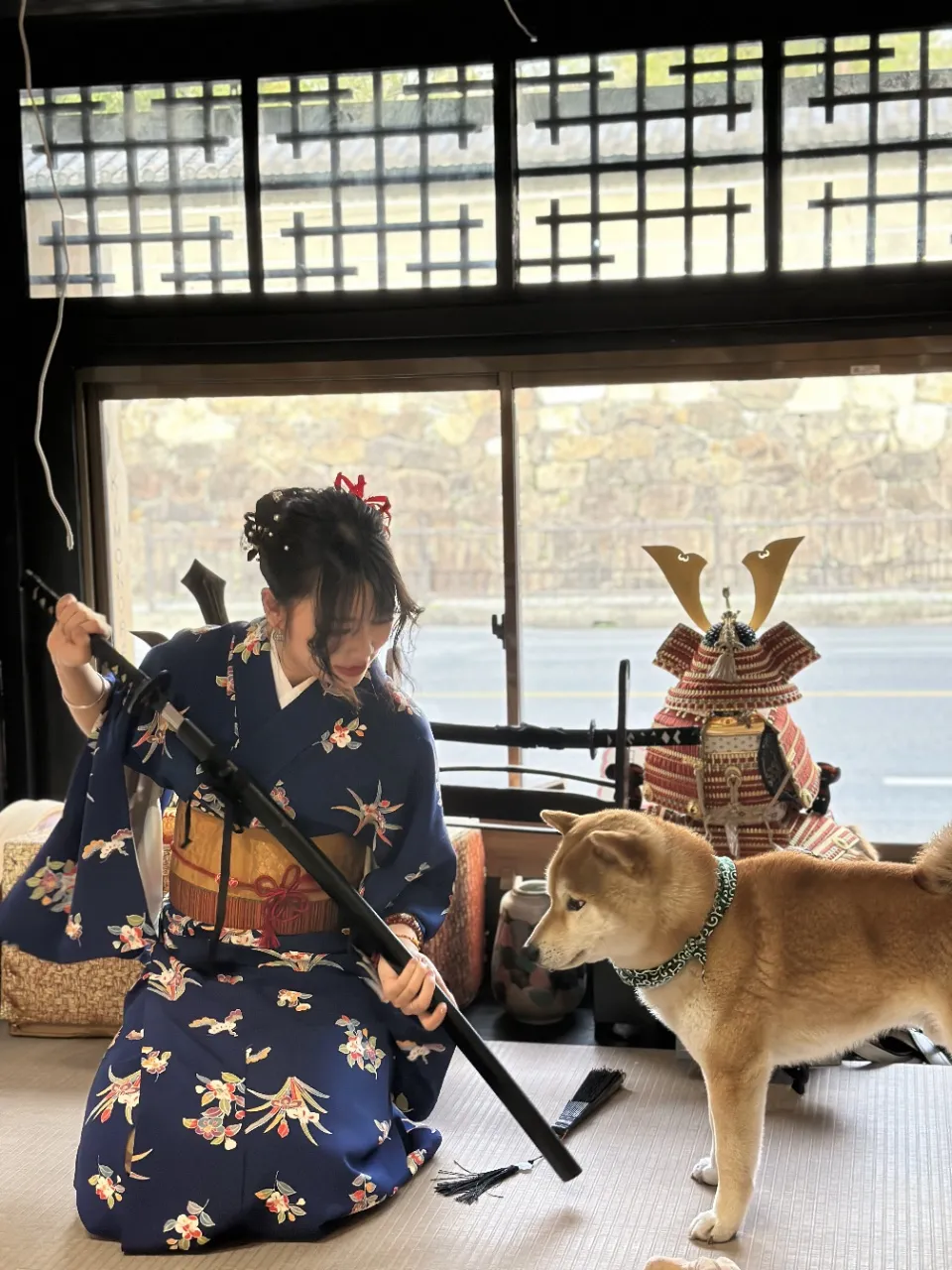 着物を着たお客さんと柴犬